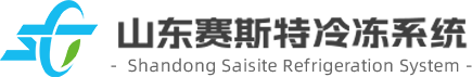 賽斯特